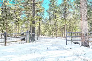 270 Dawson Rd, Pine, CO 80470 - Photo 2