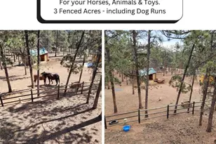 270 Dawson Rd, Pine, CO 80470 - Photo 6