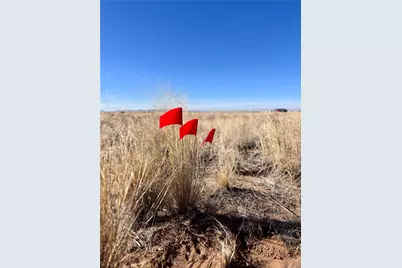 Lot 4 13th Street, Blanca, CO 81123 - Photo 12