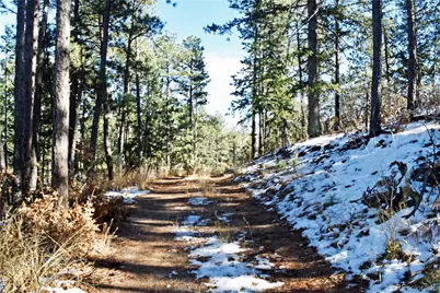 12778 Greenland Acres Road, Larkspur, CO 80118 - Photo 1