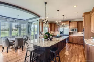 6411 Sand Rose Ct, Castle Rock, CO 80108 - Photo 8