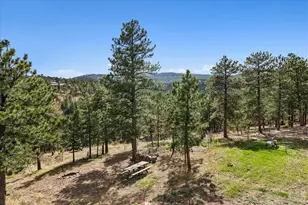 166 Hummingbird Ln, Golden, CO 80403 - Photo 38
