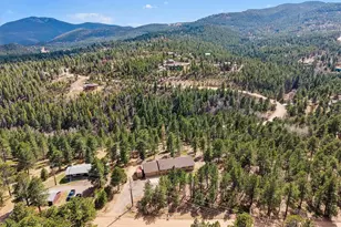 166 Hummingbird Ln, Golden, CO 80403 - Photo 40