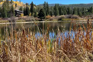 507 Hi Country Dr, Winter Park, CO 80482 - Photo 28