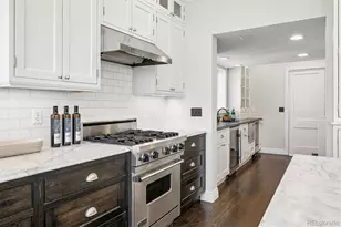 101 N Lafayette St, Denver, CO 80218 - Photo 10