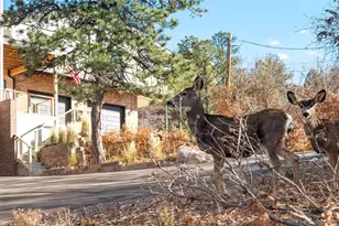 5468 N Lariat Dr, Castle Rock, CO 80108 - Photo 4