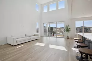 741 Simmental Loop, Castle Rock, CO 80104 - Photo 8