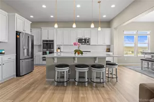 13009 Bridge View Ln, Parker, CO 80134 - Photo 16