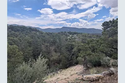 Lot 2387 Pina Road, Fort Garland, CO 81133 - Photo 8