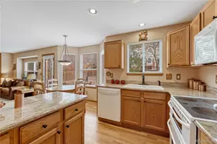 5772 S Truckee St, Centennial, CO 80015 - Photo 10