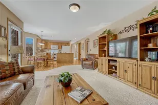 5772 S Truckee St, Centennial, CO 80015 - Photo 22