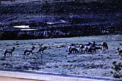 79 Quail Court, Hartsel, CO 80449 - Photo 6