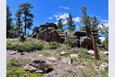 11 Inca Court, Red Feather Lakes, CO 80545 - Photo 36