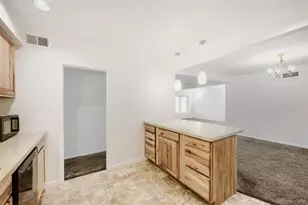 711 Troy Ct, Aurora, CO 80011 - Photo 26