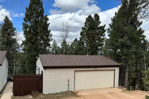 45 La Abu Trail, Florissant, CO 80816 - Photo 20