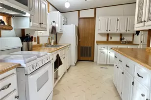 45 La Abu Trail, Florissant, CO 80816 - Photo 2