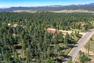 44 Southpark Rd, Florissant, CO 80816 - Photo 36