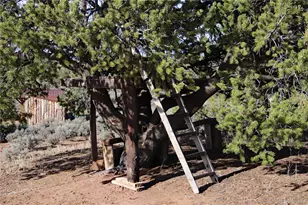 6132 Running Horse Trail, San Luis, CO 81152 - Photo 40