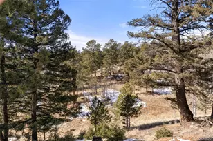 171 Star View Trail, Divide, CO 80814 - Photo 26