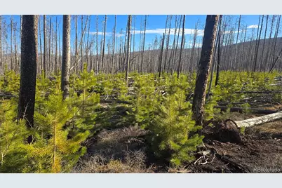 1460 & 1470 Von Hyle Lane, Fort Garland, CO 81133 - Photo 2