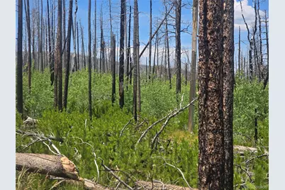 1460 & 1470 Von Hyle Lane, Fort Garland, CO 81133 - Photo 12