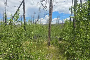 1460 & 1470 Von Hyle Ln, Fort Garland, CO 81133 - Photo 1