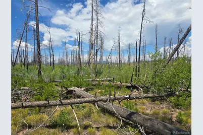 1460 & 1470 Von Hyle Lane, Fort Garland, CO 81133 - Photo 4