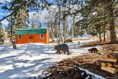 47 Piaute Way, Jefferson, CO 80432 - Photo 46