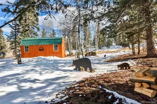 47 Piaute Way, Jefferson, CO 80432 - Photo 42