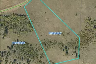 2178 Dog Chief Trail, Hartsel, CO 80449 - Photo 1