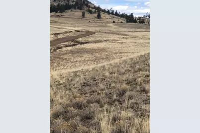 2178 Dog Chief Trail, Hartsel, CO 80449 - Photo 8