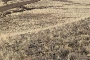 2178 Dog Chief Trail, Hartsel, CO 80449 - Photo 8