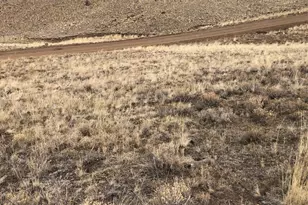 2178 Dog Chief Trail, Hartsel, CO 80449 - Photo 6