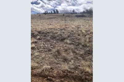 2178 Dog Chief Trail, Hartsel, CO 80449 - Photo 2