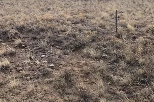 2178 Dog Chief Trail, Hartsel, CO 80449 - Photo 2