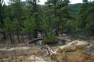 19084 County Road 31 9, Weston, CO 81091 - Photo 10