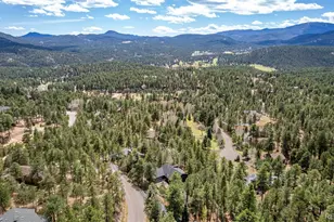29036 Clover Ln, Evergreen, CO 80439 - Photo 44