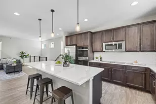 2618 Mayotte Wy, Castle Rock, CO 80109 - Photo 10