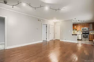960 N Sherman Street, Denver, CO 80203 - Photo 8