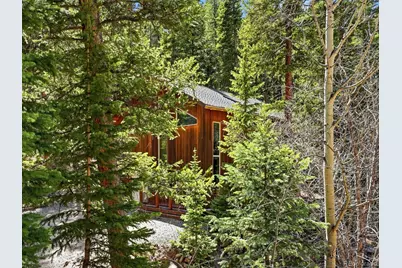 2547 Mill Creek Road, Idaho Springs, CO 80452 - Photo 6