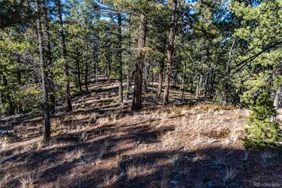0 Arrowhead Road, Florissant, CO 80816 - Photo 10