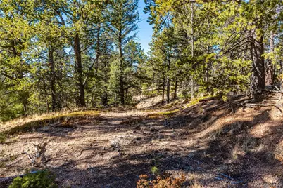 0 Arrowhead Road, Florissant, CO 80816 - Photo 24