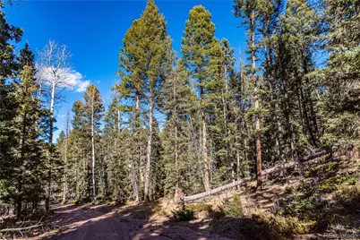 0 Arrowhead Road, Florissant, CO 80816 - Photo 6
