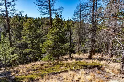 0 Arrowhead Road, Florissant, CO 80816 - Photo 30