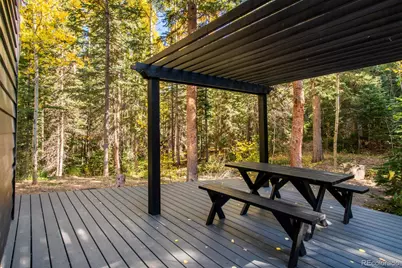 48 Moss Lane, Dumont, CO 80436 - Photo 44