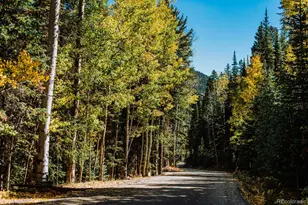 48 Moss Ln, Dumont, CO 80436 - Photo 6