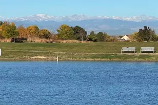 10145 Pitkin Way, Commerce City, CO 80022 - Photo 42