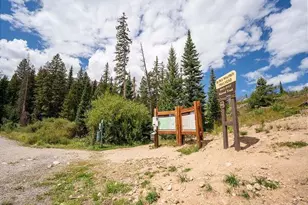 6916 Ryan Gulch Rd, Silverthorne, CO 80498 - Photo 30