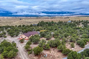 15550 Silver Tip Ct, Buena Vista, CO 81211 - Photo 46