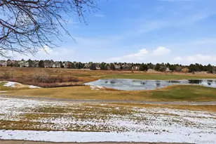 8666 Ainsdale Ct, Lone Tree, CO 80124 - Photo 40